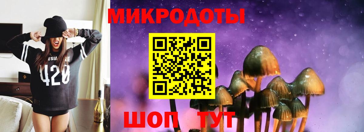 Галлюциногенные грибы прущие грибы  Вход с VPN  Горячий Ключ 
