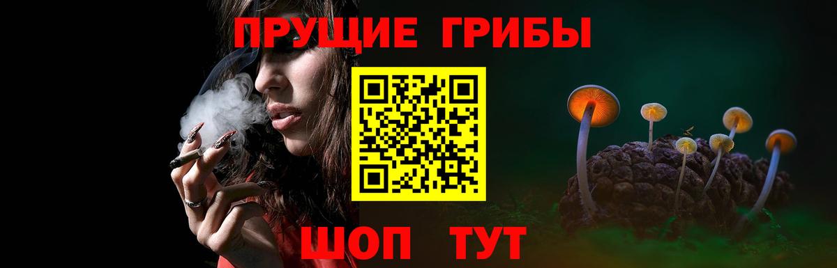 Псилоцибиновые грибы MAGIC MUSHROOMS Горячий Ключ